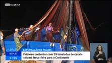 Imagem de 29 toneladas de cavala comercializadas para fora da Região (vídeo)