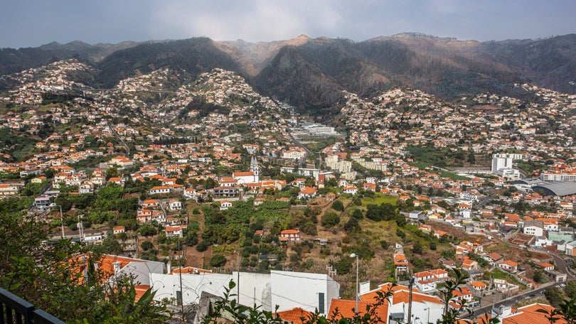 Imagem de Madeira inscreve 50 milhões para habitação em 2023