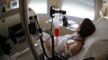 Imagem de Madeira regista mil novo casos de cancro por ano
