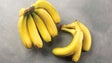 Produtores de banana vão receber mais 10 cêntimos por quilo (vídeo)