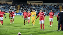 Imagem de Antecipação do jogo Santa Clara – Benfica deixa emigrantes revoltados (Vídeo)