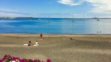 Imagem de Marina da Praia da Vitória está lotada (Vídeo)