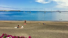 Marina da Praia da Vitória está lotada (Vídeo)