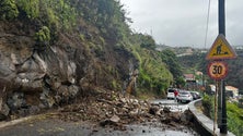 Imagem de Derrocada na Estrada Regional 222 danificou viatura com turistas (vídeo)