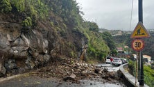 Derrocada na Estrada Regional 222 danificou viatura com turistas (vídeo)