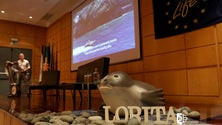Imagem de Governo da Madeira prepara novas medidas de proteção dos lobos-marinhos