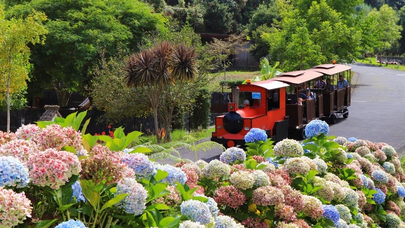 Imagem de Parque Temático cada vez mais dinâmico