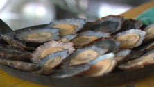 Imagem de Festa da Lapa no Paul do Mar anima os negócios (vídeo)