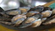 Imagem de Festa da Lapa no Paul do Mar anima os negócios (vídeo)