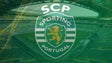 Imagem de Eleições no Sporting: 600 sócios na Madeira em condições de votar