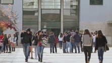 Universidade da Madeira promove em julho um curso intensivo de verão para luso-descendentes