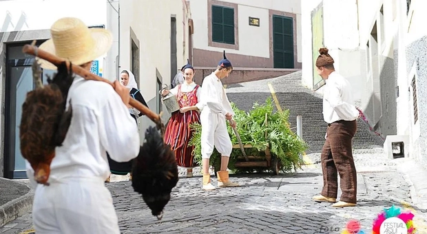 Cultura