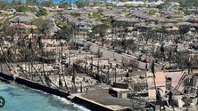 Imagem de Subiu para 89 o número de mortos na ilha de Maui