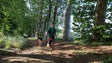 Imagem de Trezentos correram o Cristo Rei Trail (vídeo)