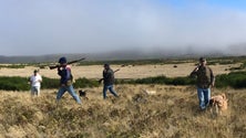 Imagem de Menos caçadores habilitados (vídeo)