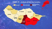 Imagem de Madeira em risco elevado (vídeo)