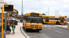Imagem de Greve na Horários do Funchal ronda os 90%, diz sindicato (Áudio)