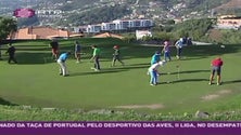 Imagem de Madeira tem atletas com grande potencial diz Nuno Campino Selecionador Nacional de Golfe