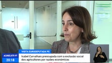 Imagem de Eurodeputada Isabel Carvalhais de visita aos Açores [Vídeo]