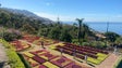 Imagem de Jardim Botânico tem novo sistema de rega e melhores condições de acesso (vídeo)