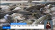 Imagem de Inflação em Portugal atingiu um nível recorde no mês passado (vídeo)