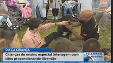 Imagem de Na Quinta do Leme, o Dia da Criança foi celebrado com a presença de amigos de 4 patas (Vídeo)