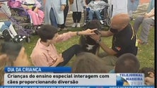 Na Quinta do Leme, o Dia da Criança foi celebrado com a presença de amigos de 4 patas (Vídeo)