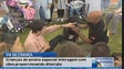 Imagem de Na Quinta do Leme, o Dia da Criança foi celebrado com a presença de amigos de 4 patas (Vídeo)