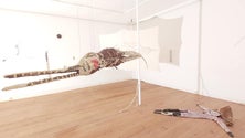 Imagem de Exposição «Clorophilia» na Porta33 (vídeo)