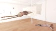 Imagem de Exposição «Clorophilia» na Porta33 (vídeo)