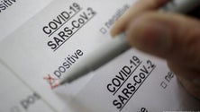 Imagem de Covid-19: Portugal regista mais quatro mortos e 266 casos confirmados