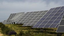Imagem de Ponta do Sol aprova 2.º parque solar fotovoltaico do Loiral