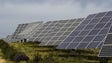 Imagem de Ponta do Sol aprova 2.º parque solar fotovoltaico do Loiral
