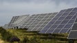 Ponta do Sol aprova 2.º parque solar fotovoltaico do Loiral