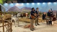 Imagem de Homenagem a Max, distinção do Porto Santo (vídeo)