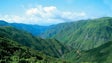Governo da Madeira elaborou seis planos de gestão florestal para 40% do território