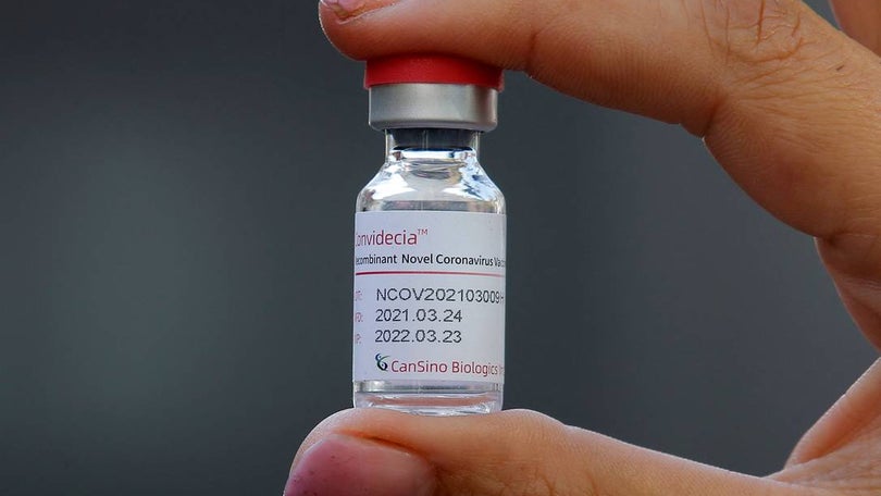 Imagem de OMS aprova utilização da 11ª vacina