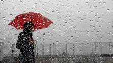 Imagem de Ano hidrológico com metade da chuva normal