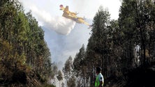 Imagem de Madeira tem condições para usar meios aéreos para combate aos incêndios