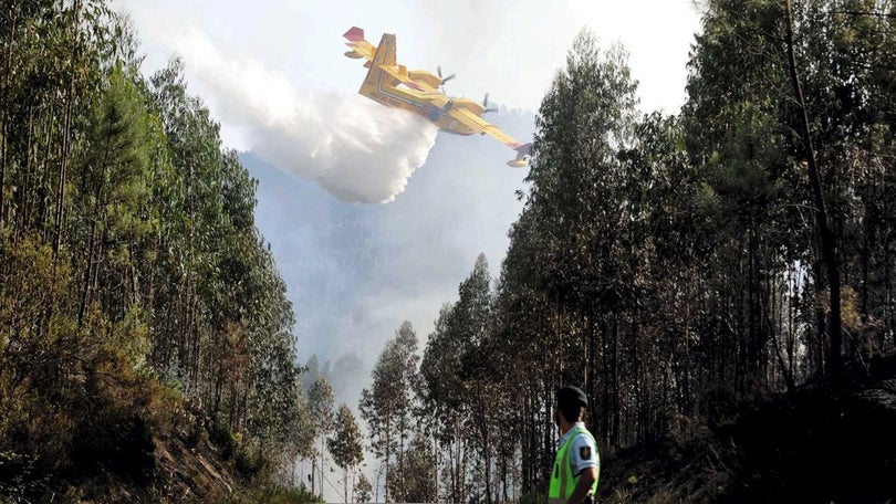 Madeira tem condições para usar meios aéreos para combate aos incêndios