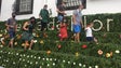 Festa da Flor: Muro da Esperança recebe pedidos para que a pandemia termine (Vídeo)