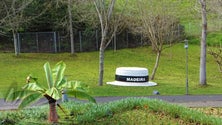 Imagem de Parque Temático da Madeira reabriu portas (Vídeo)