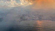 Imagem de Lusodescendentes entre os mil desaparecidos do incêndio na ilha de Maui (vídeo)