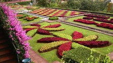 Imagem de Jardim Botânico reabriu esta segunda-feira com entradas gratuitas (Áudio)