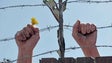 Imagem de Liberdade no mundo atingiu em 2017 nível mais baixo em mais de uma década