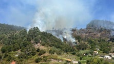 Proteção Civil registou sete focos de incêndio nos últimos três dias