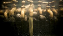 Imagem de ACIF quer internacionalizar o rum da Madeira