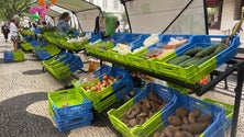 Imagem de Número de produtores biológicos cresceu 25% nos últimos 5 anos (vídeo)