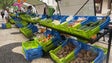 Imagem de Número de produtores biológicos cresceu 25% nos últimos 5 anos (vídeo)