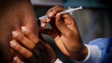 Imagem de OCDE diz que é prioritário distribuir vacinas «o mais rápido possível»